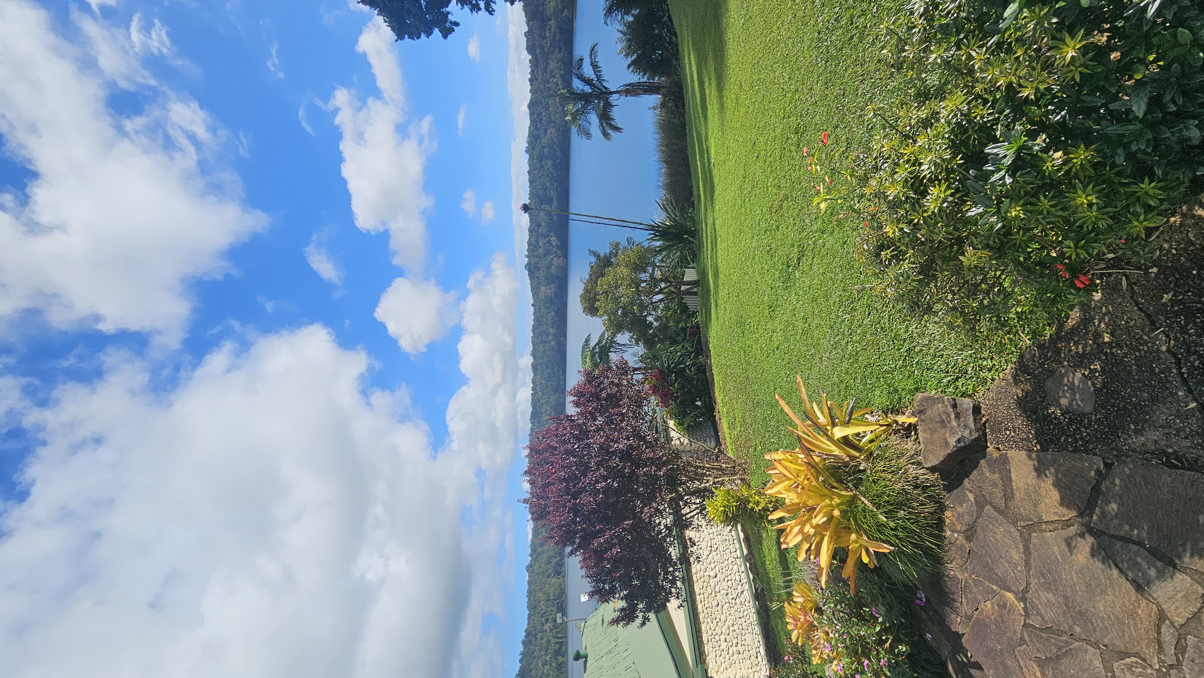 The Tea house Lake Barrine 4