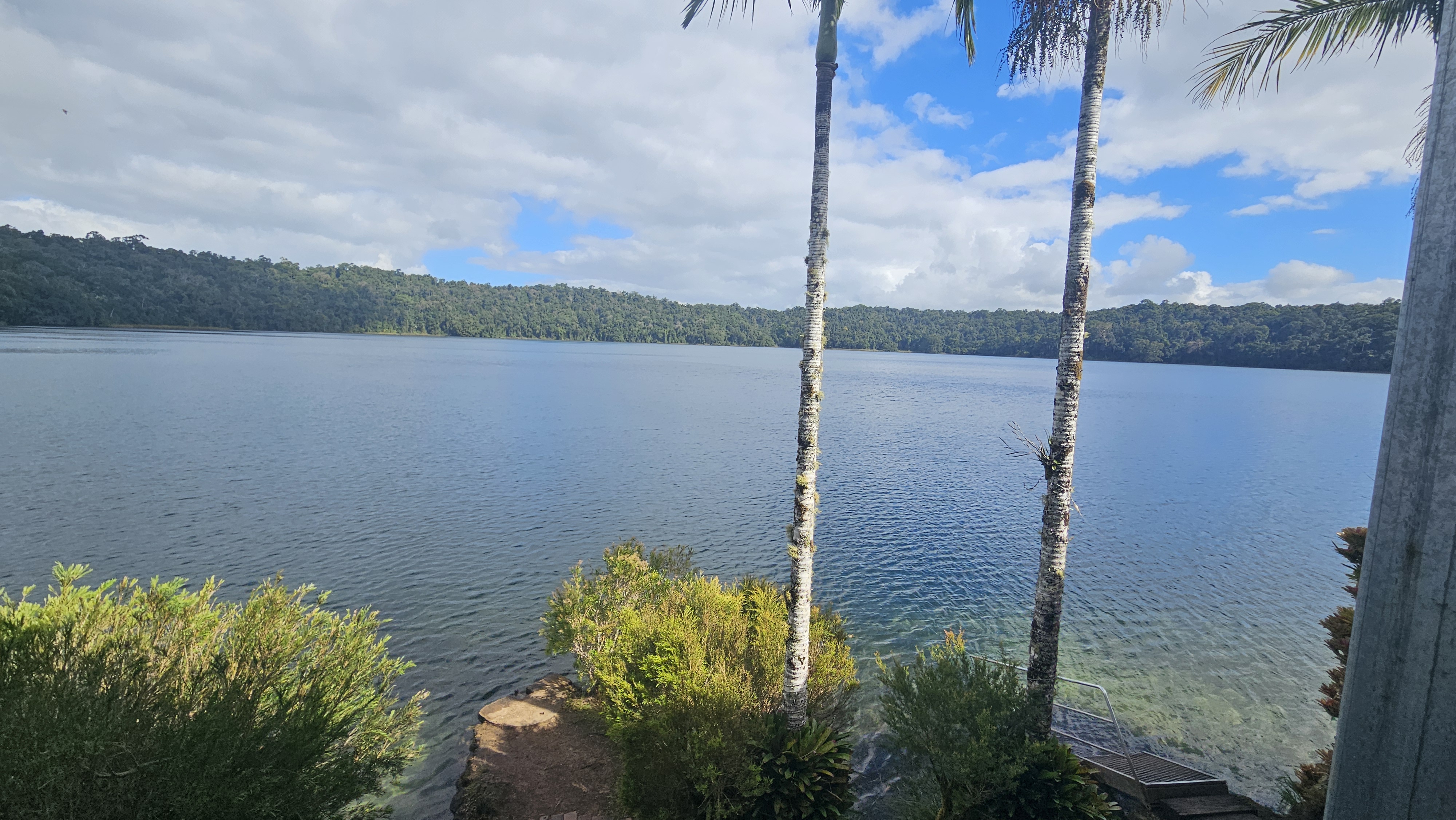 The Tea house Lake Barrine 6