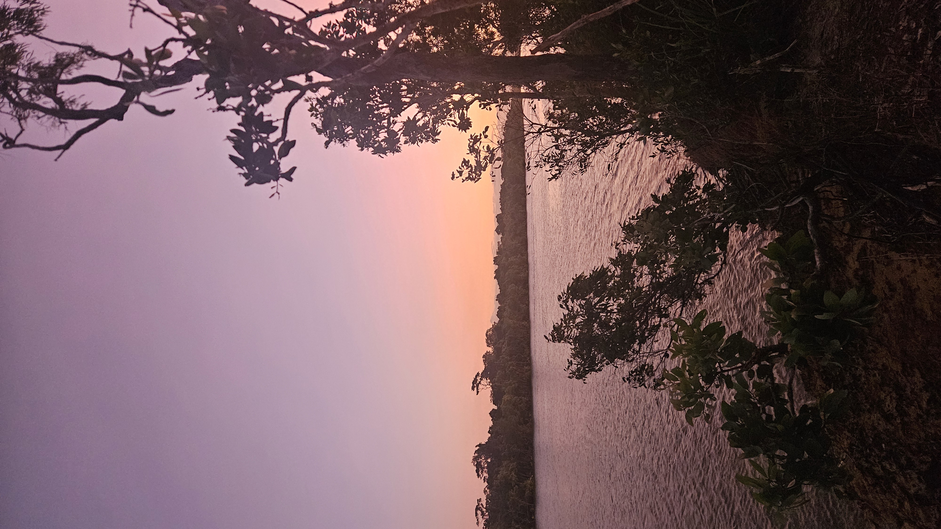 Cooktown Prawn Farm Camping 6