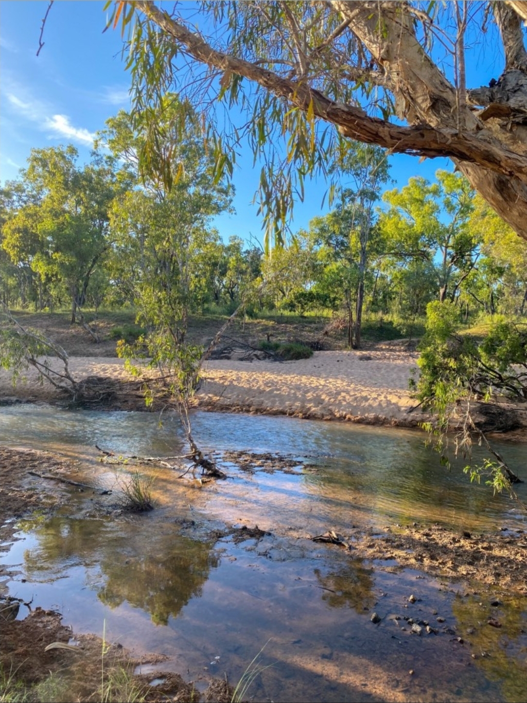 Koolburra Station 2