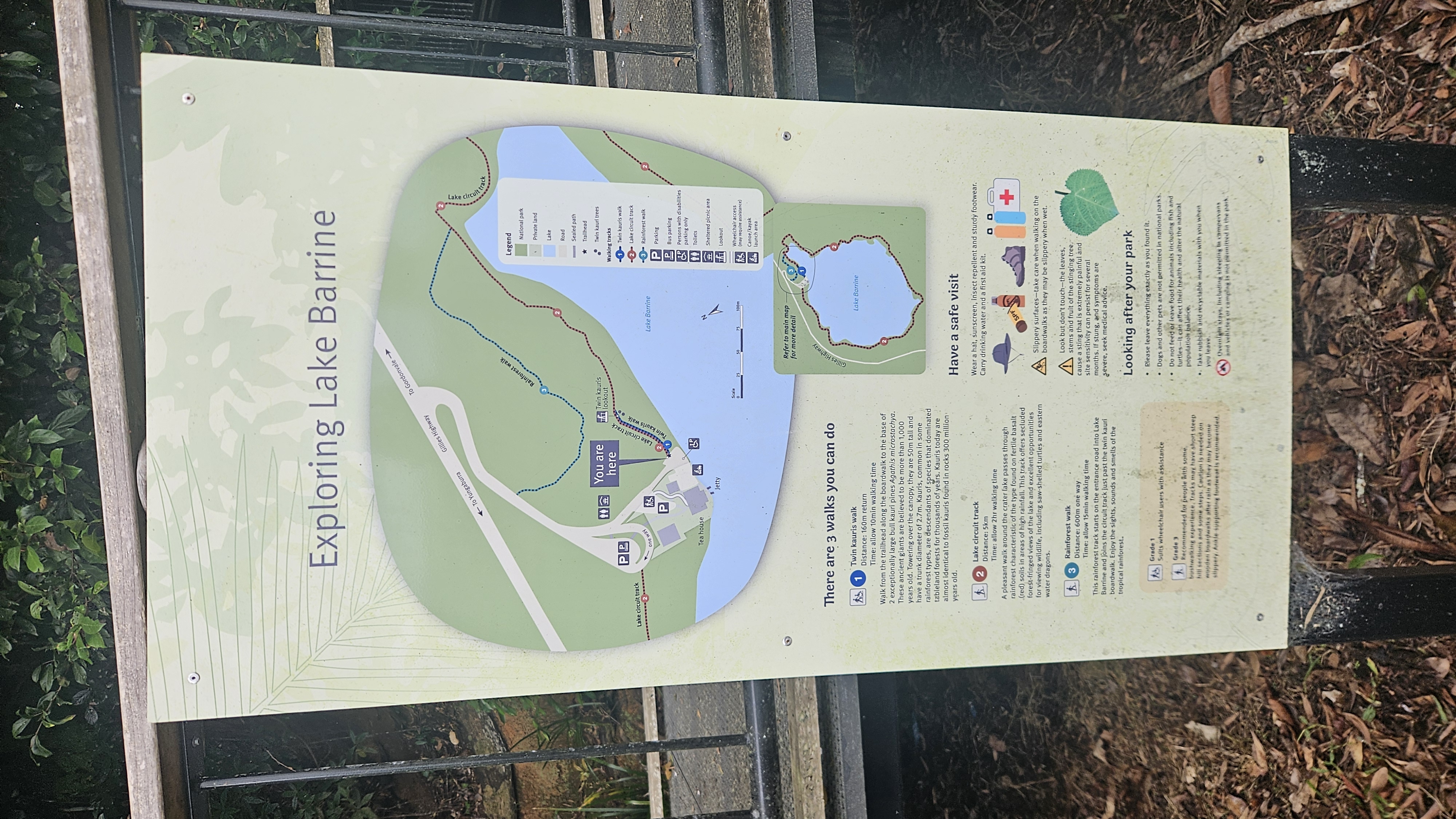 The Tea house Lake Barrine 10