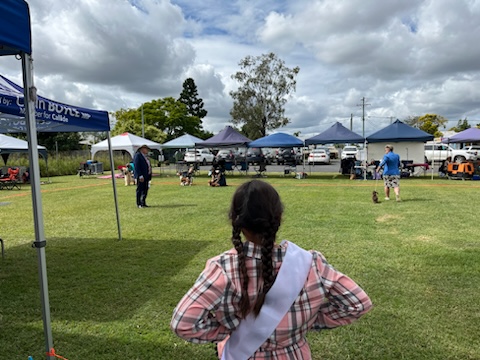 Monto Showgrounds 3