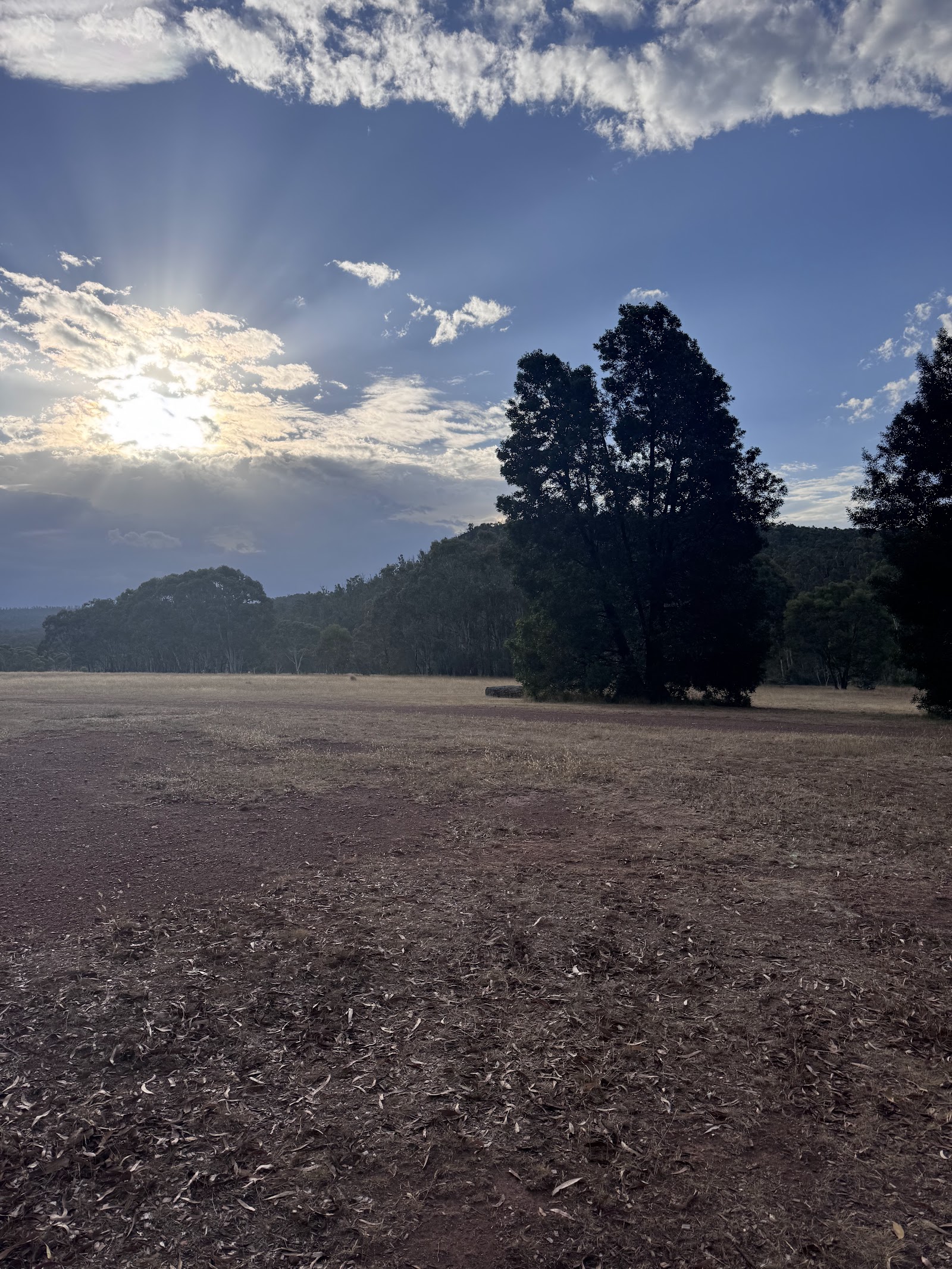 Woongulmerang Recreation Reserve 2
