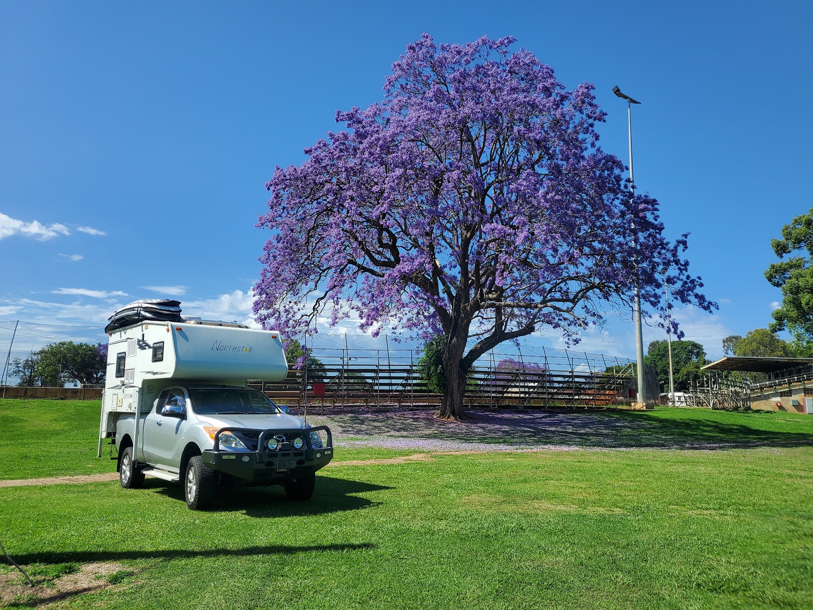 Grafton Showgrounds 11