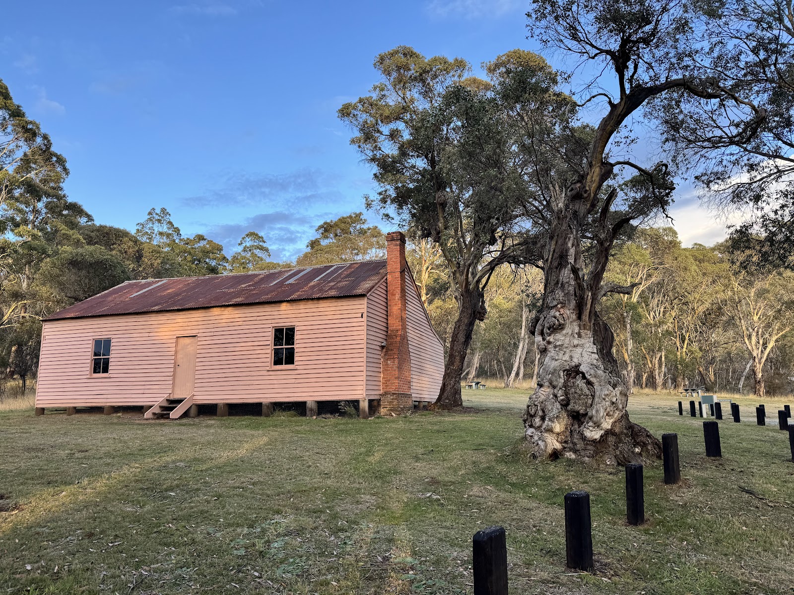 Long Plain Hut campground 2