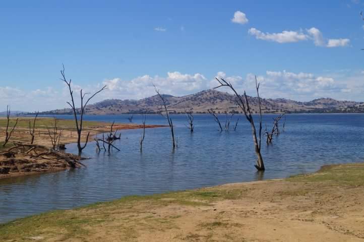 Ludlows Reserve 2