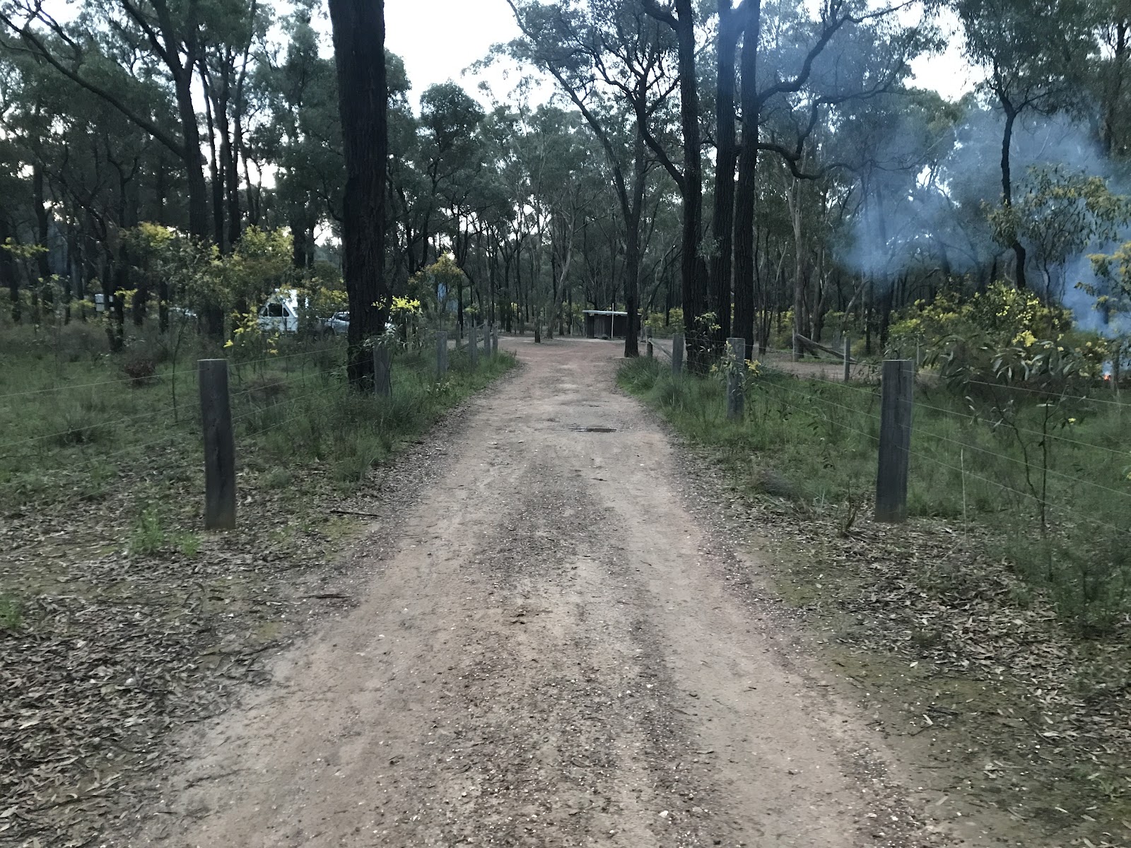 Greens Campground - Whroo Historical Area 9