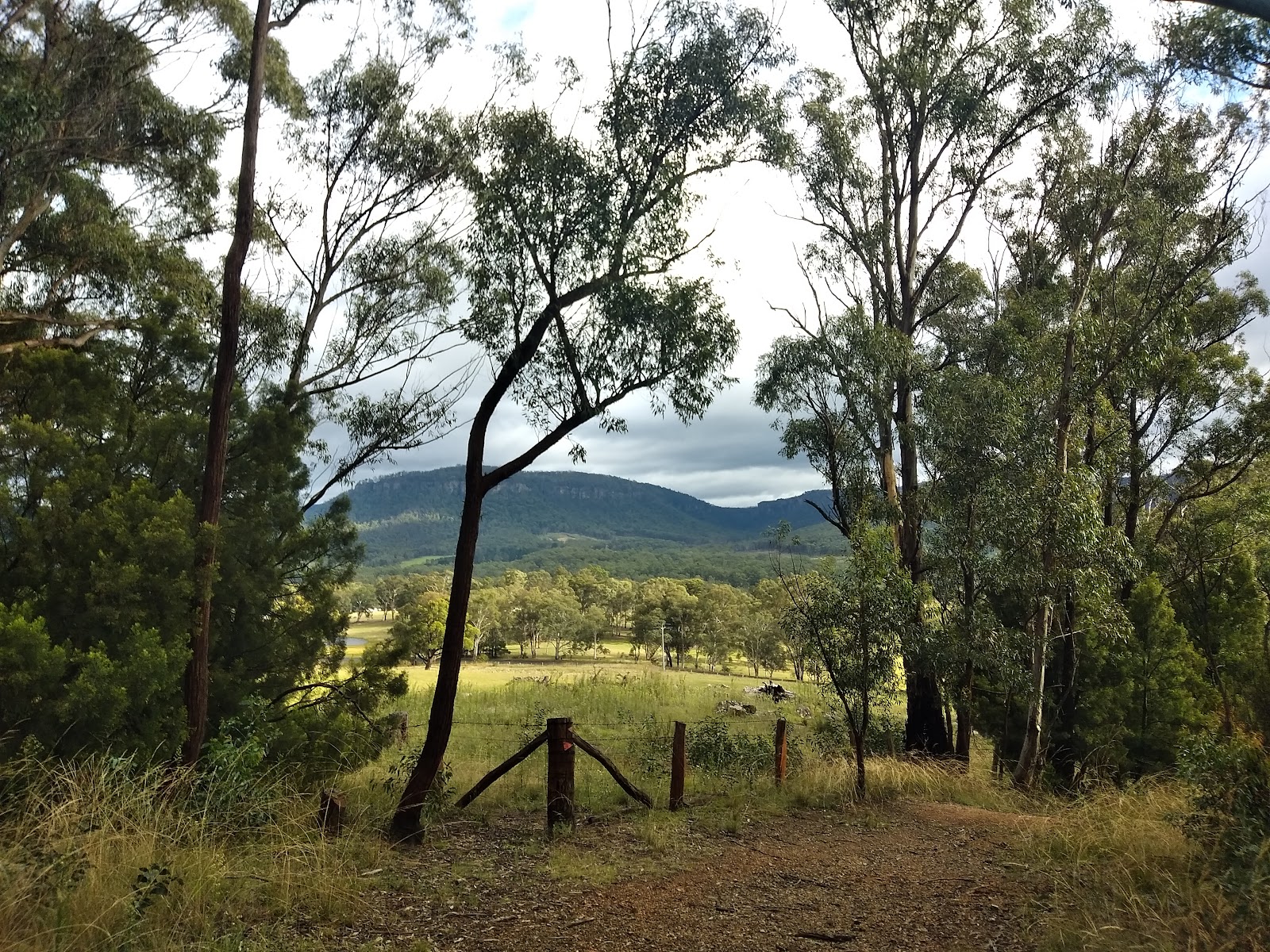 Lockyer's Track Campground 2