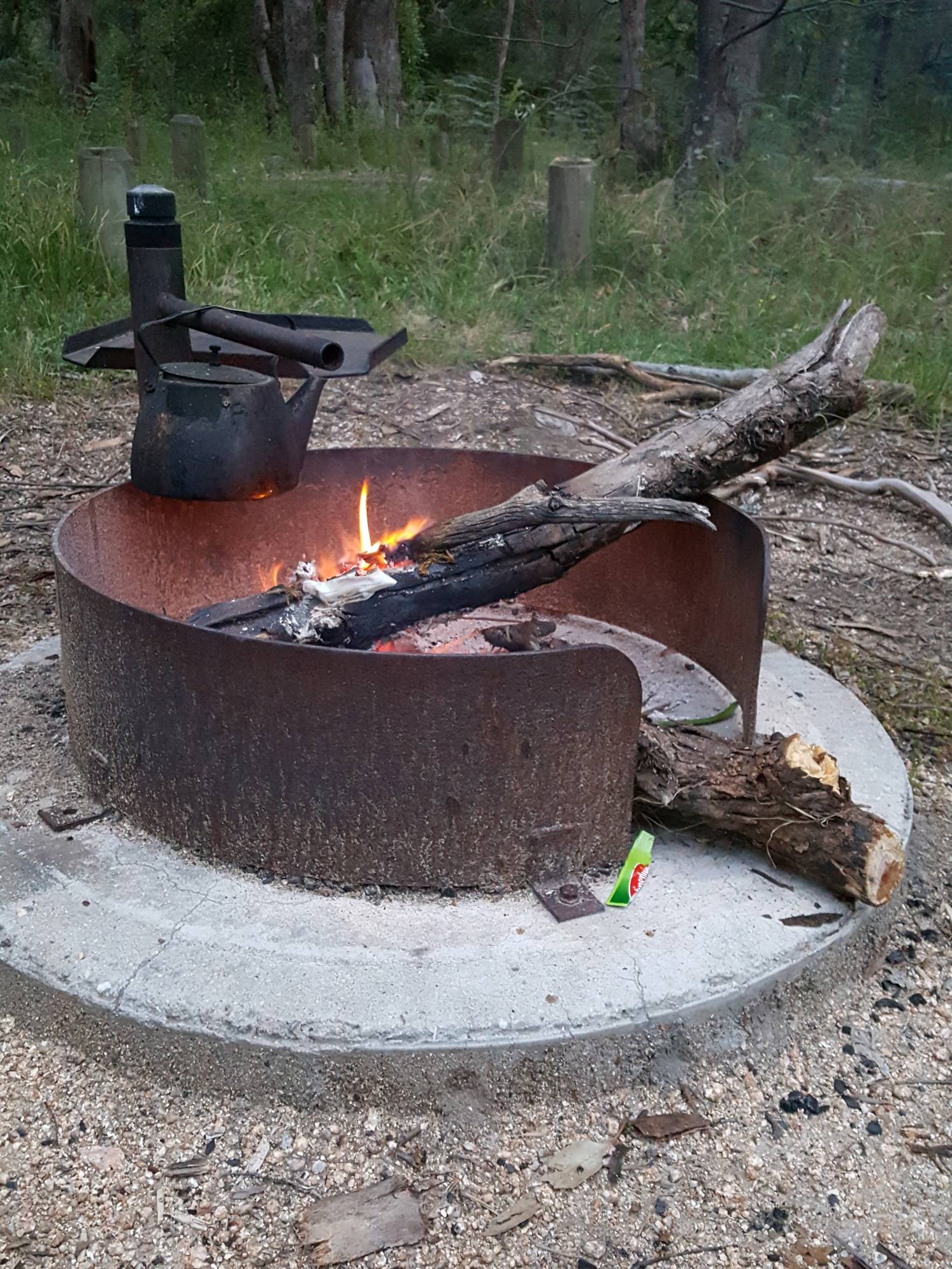 Bluff Creek Campground 2