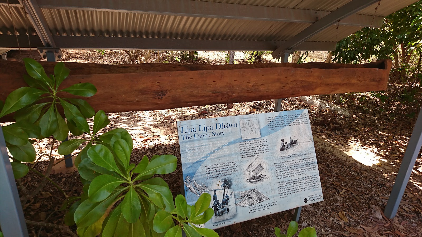Dhimurru Aboriginal Corporation 2