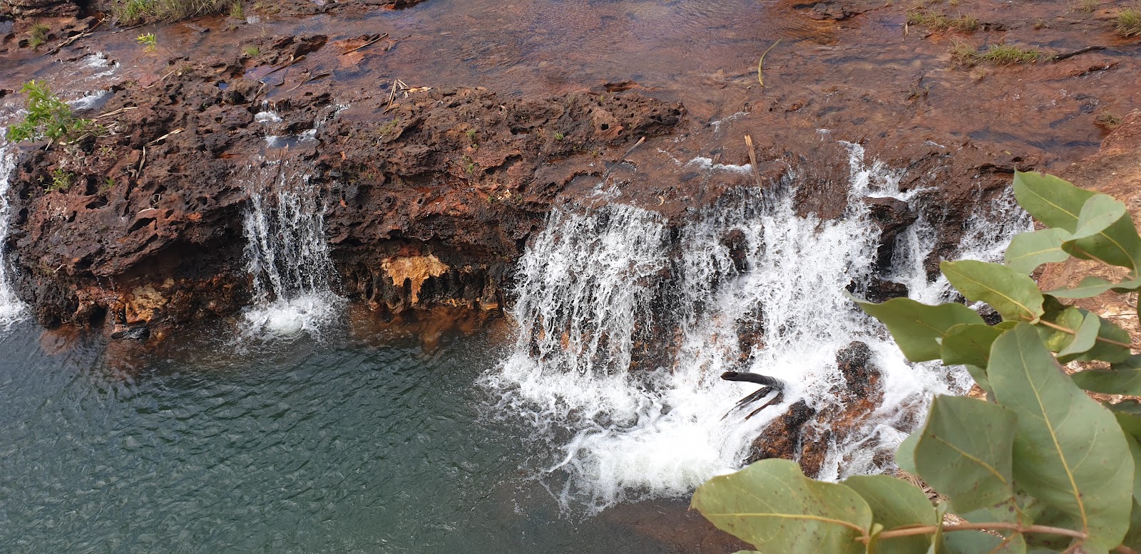 Dhimurru Aboriginal Corporation 3