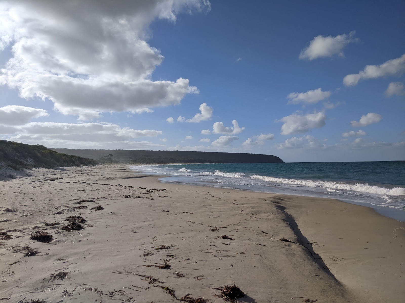 Antechamber Bay Campground 3