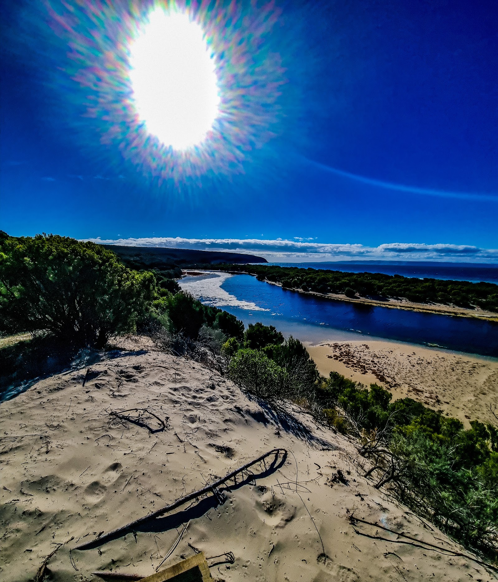 Antechamber Bay Campground 4