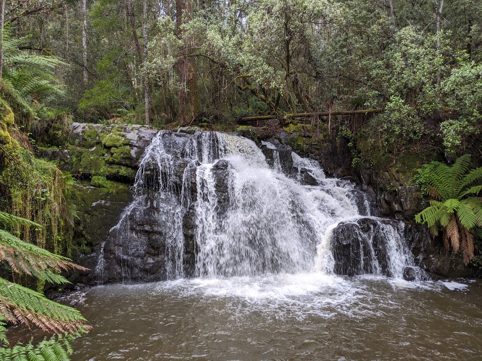 Lilydale Falls Camping Area 8