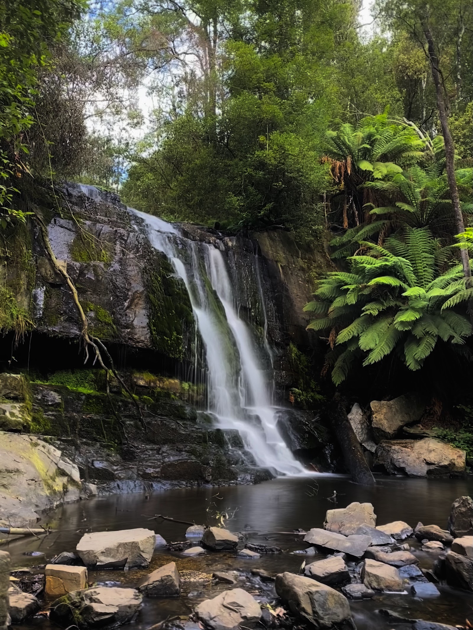 Lilydale Falls Camping Area 3