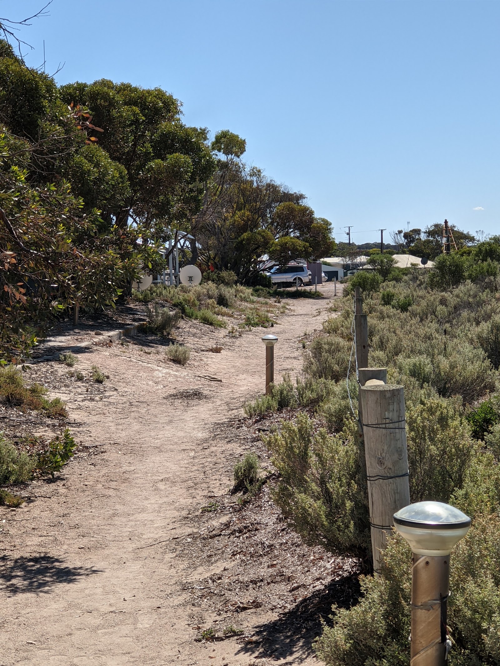 Haslam Campground 6