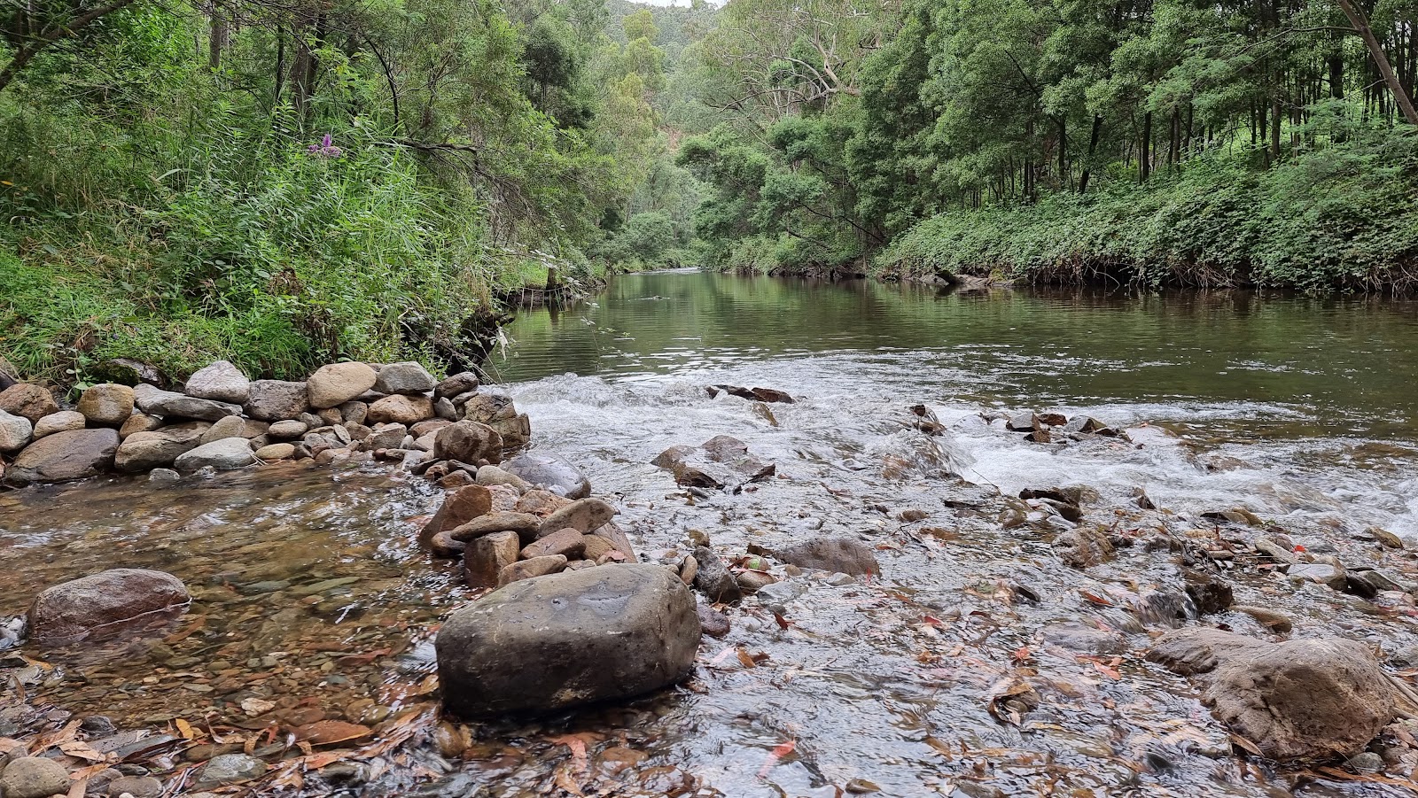 2 Mile Creek Reserve 3