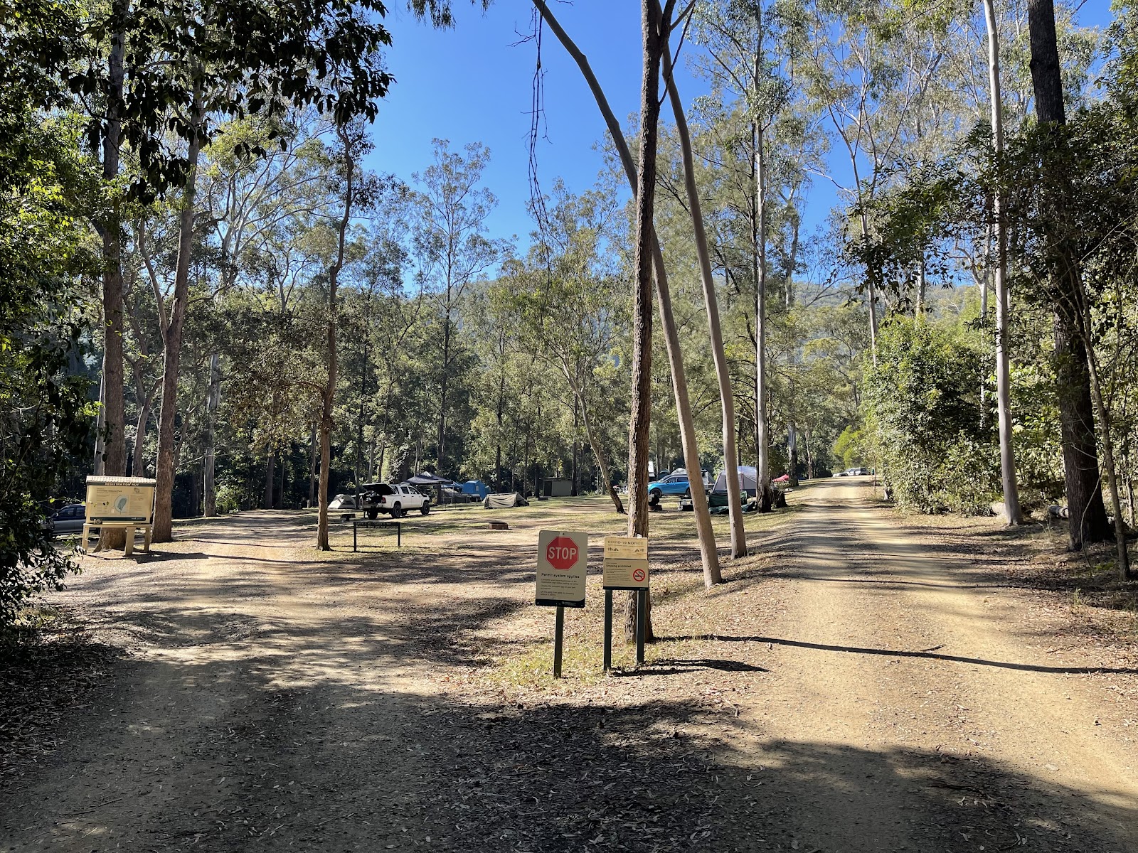 Booloumba Creek Camping Area 1 5