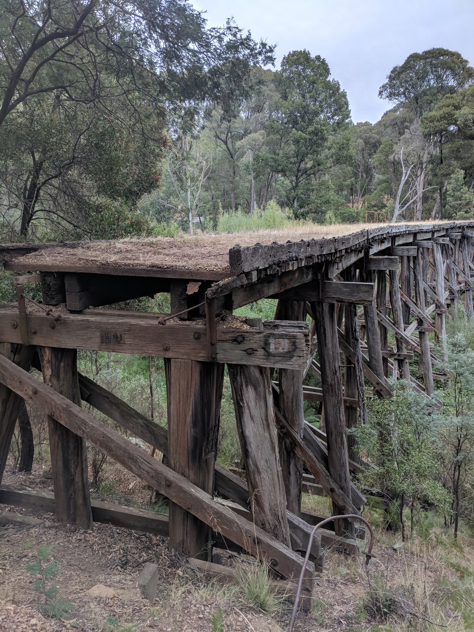 Koetong Creek 3