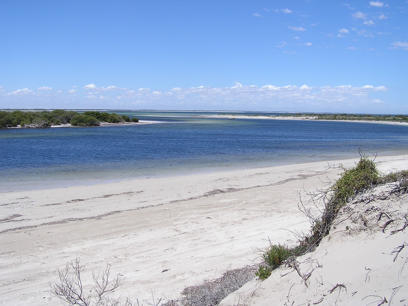 Acraman Creek Conservation Park 2