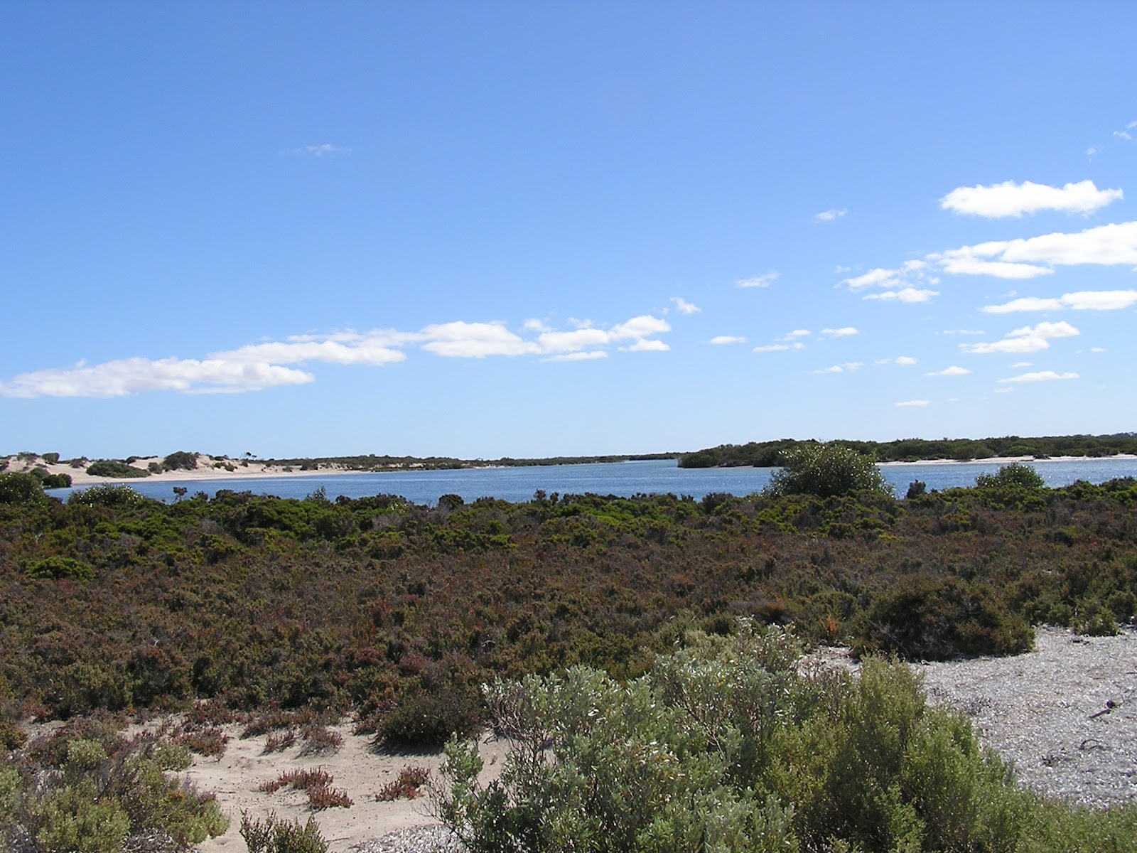 Acraman Creek Conservation Park 3