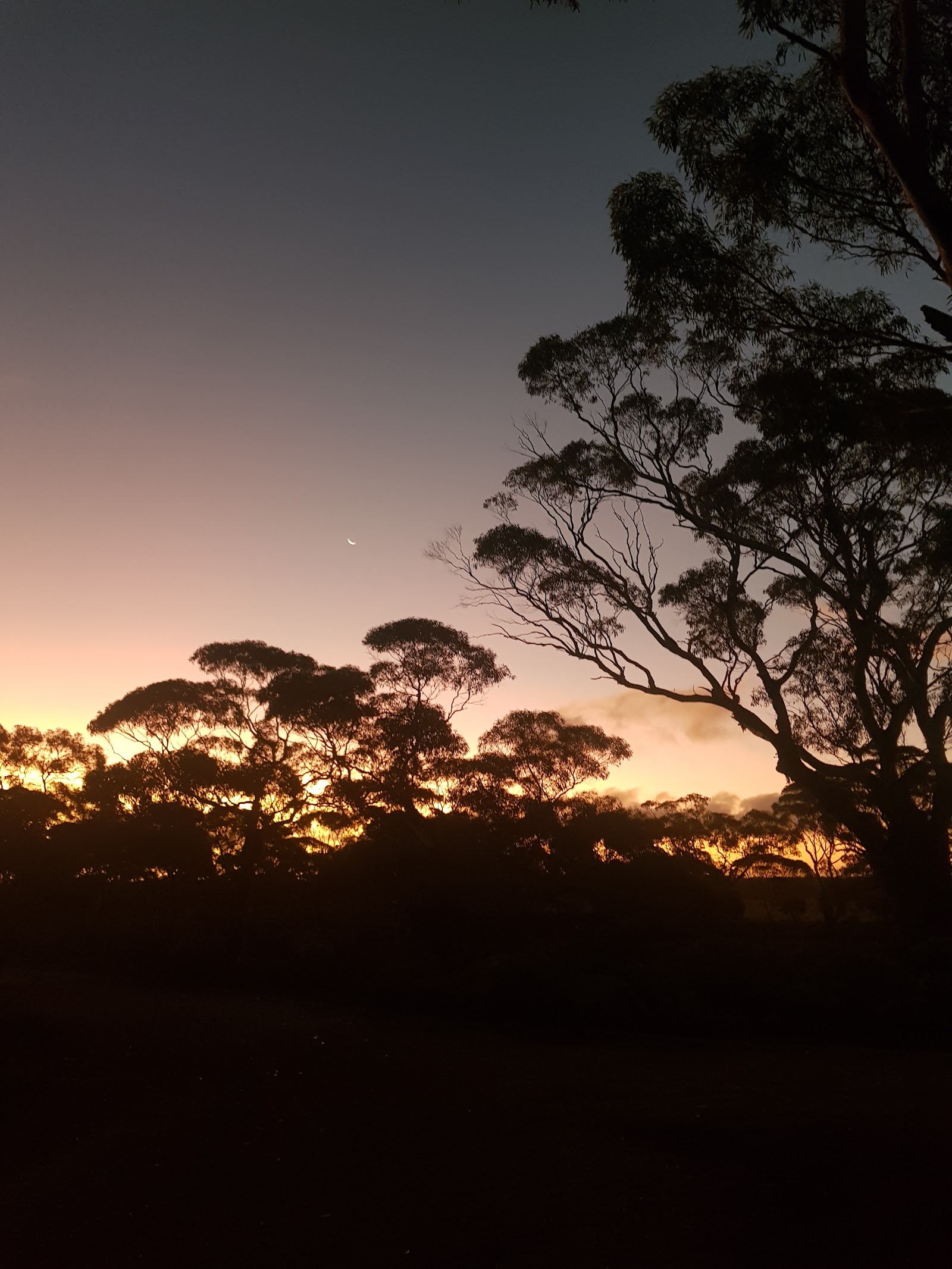 Ambrosia Rest Area 8