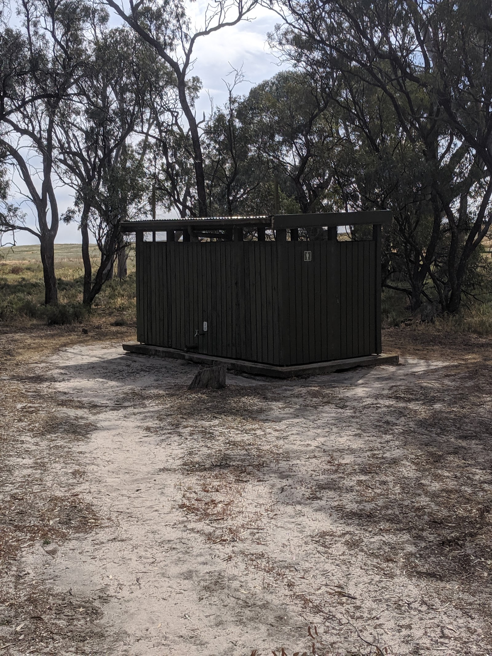 Yaapeet Beach Campground - Lake Albacutya Regional Park 2