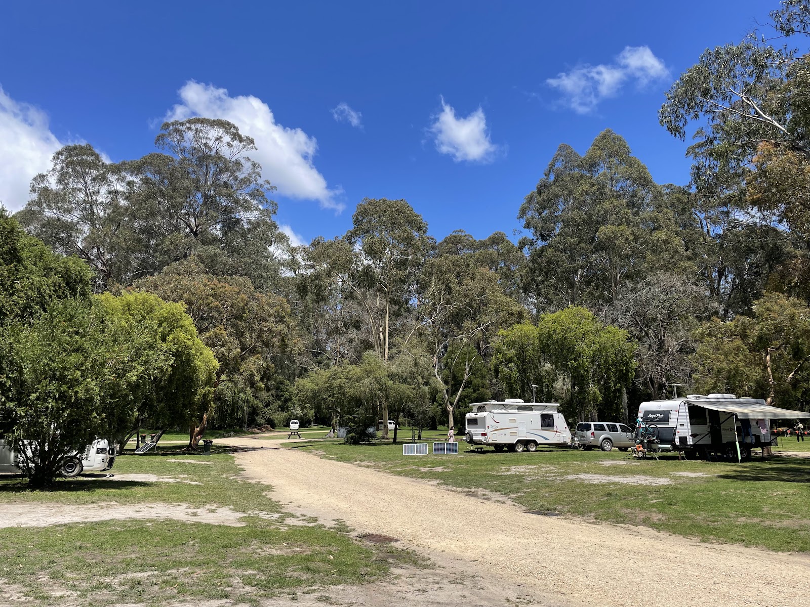 Cann River Rainforest Caravan Park 8
