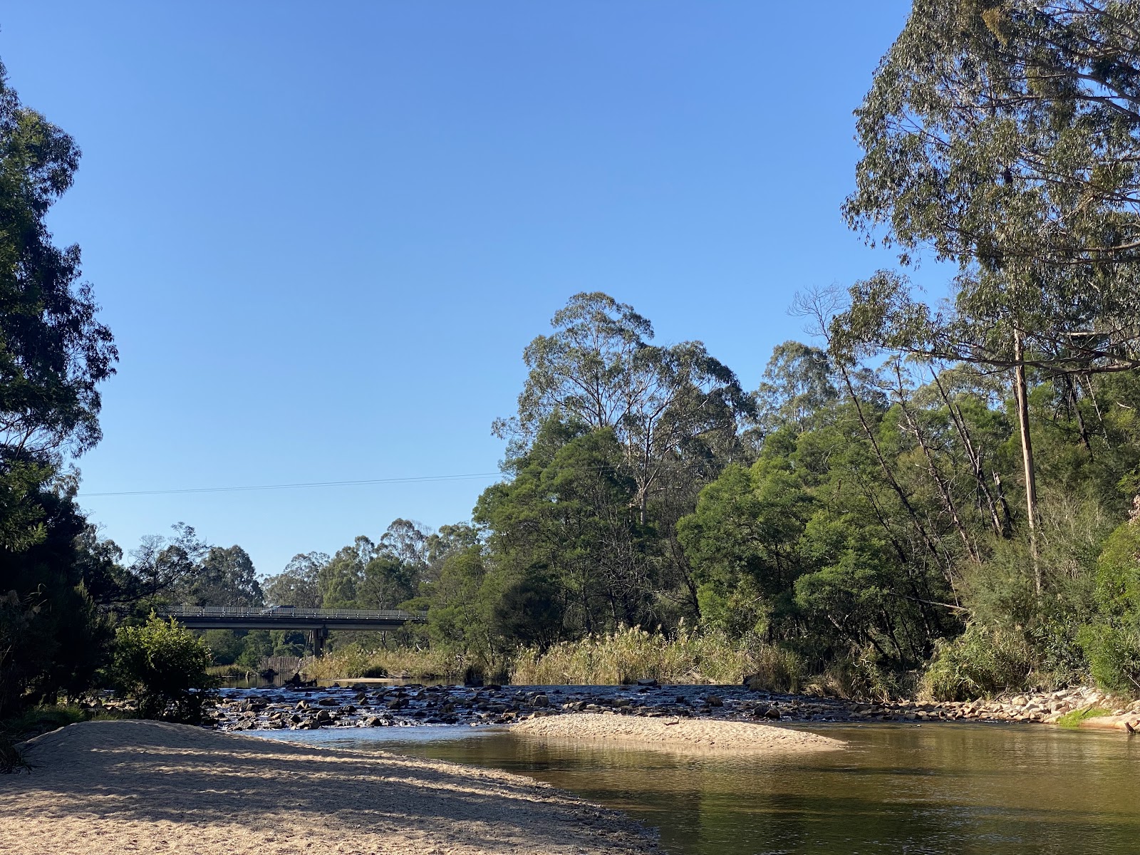 Cann River Rainforest Caravan Park 7