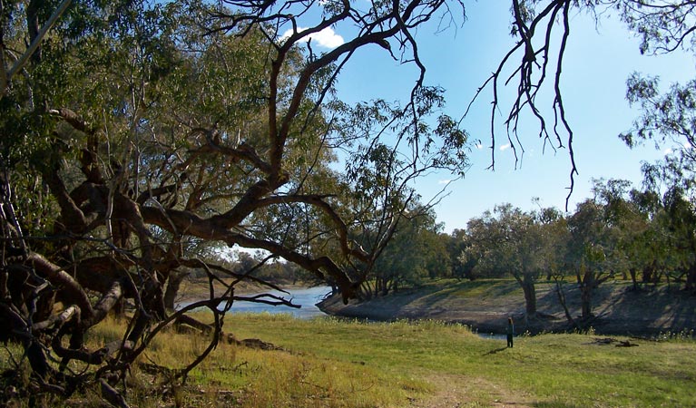 Yanda Campground 2