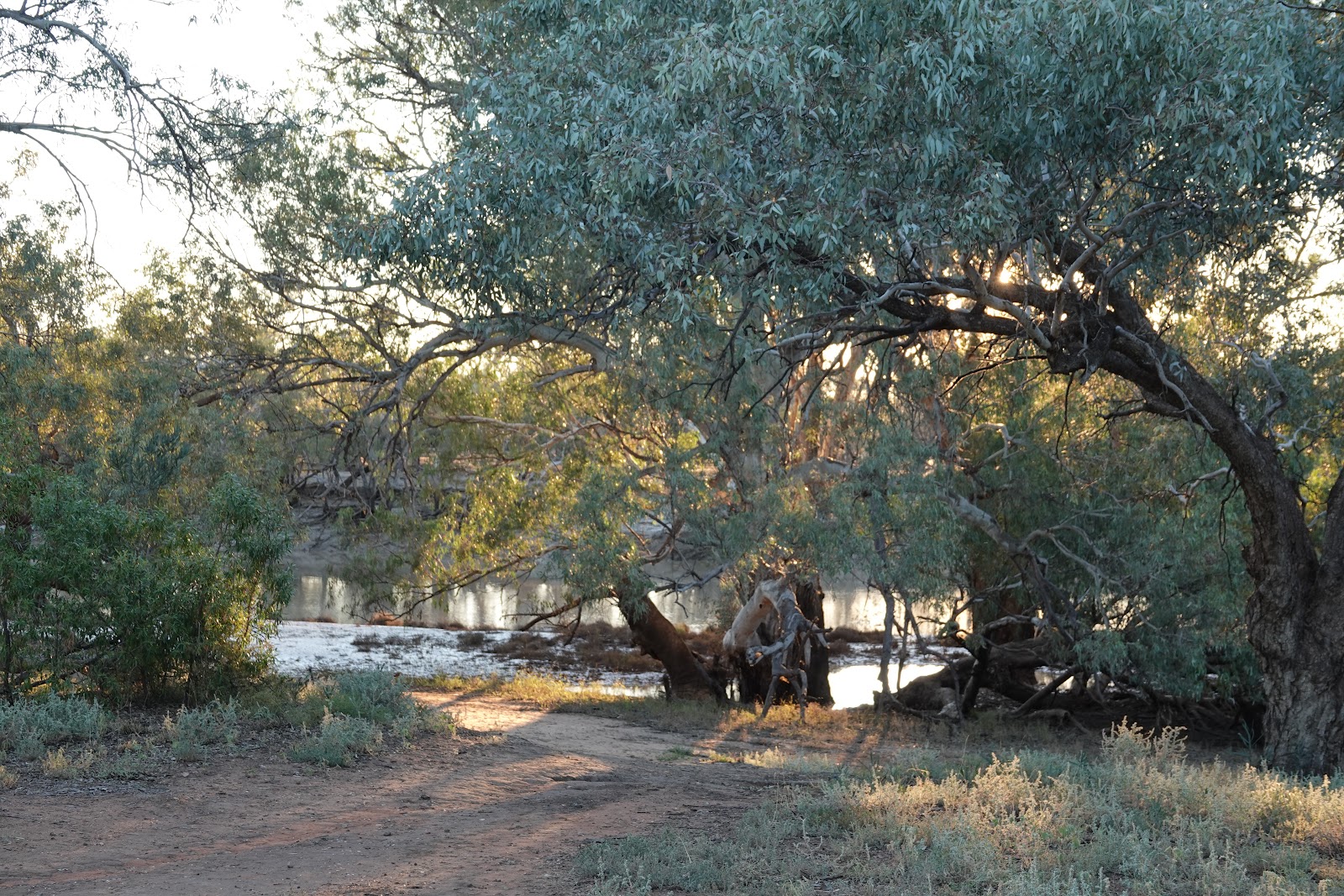 Yanda Campground 3