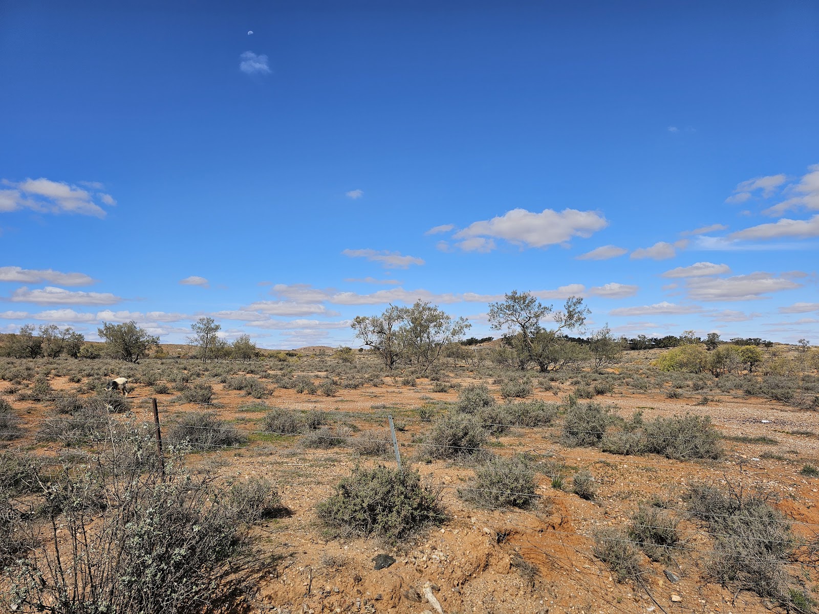 Thackaringa Hills Rest Area 3