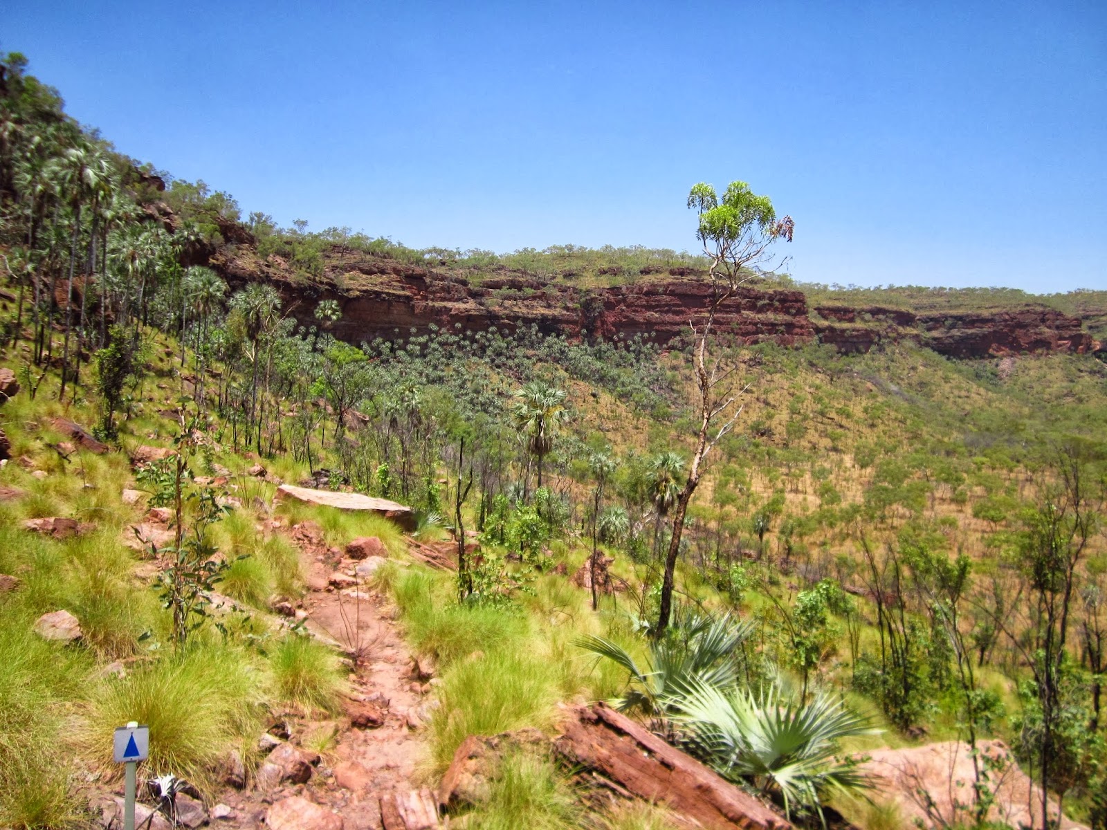 Judbarra / Gregory National Park 3