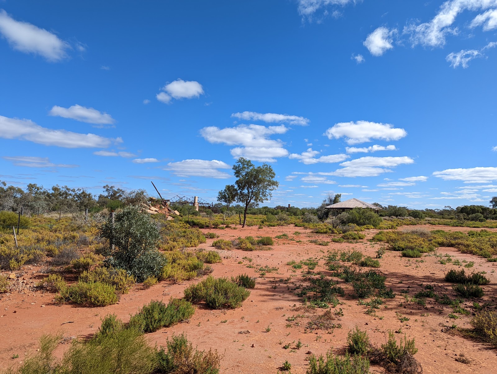 Currawinya National Park 2