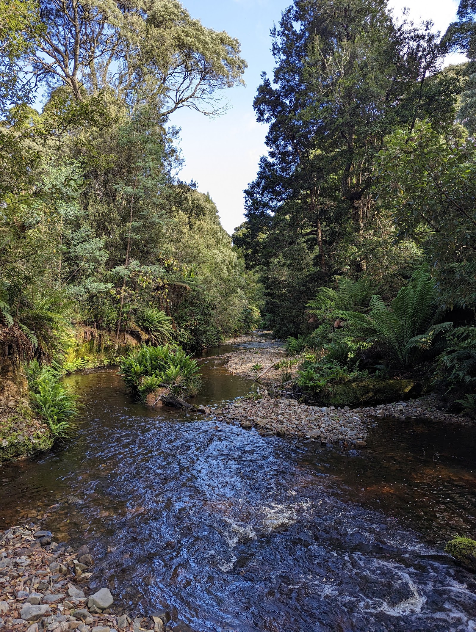 Evercreech Picnic Area 2