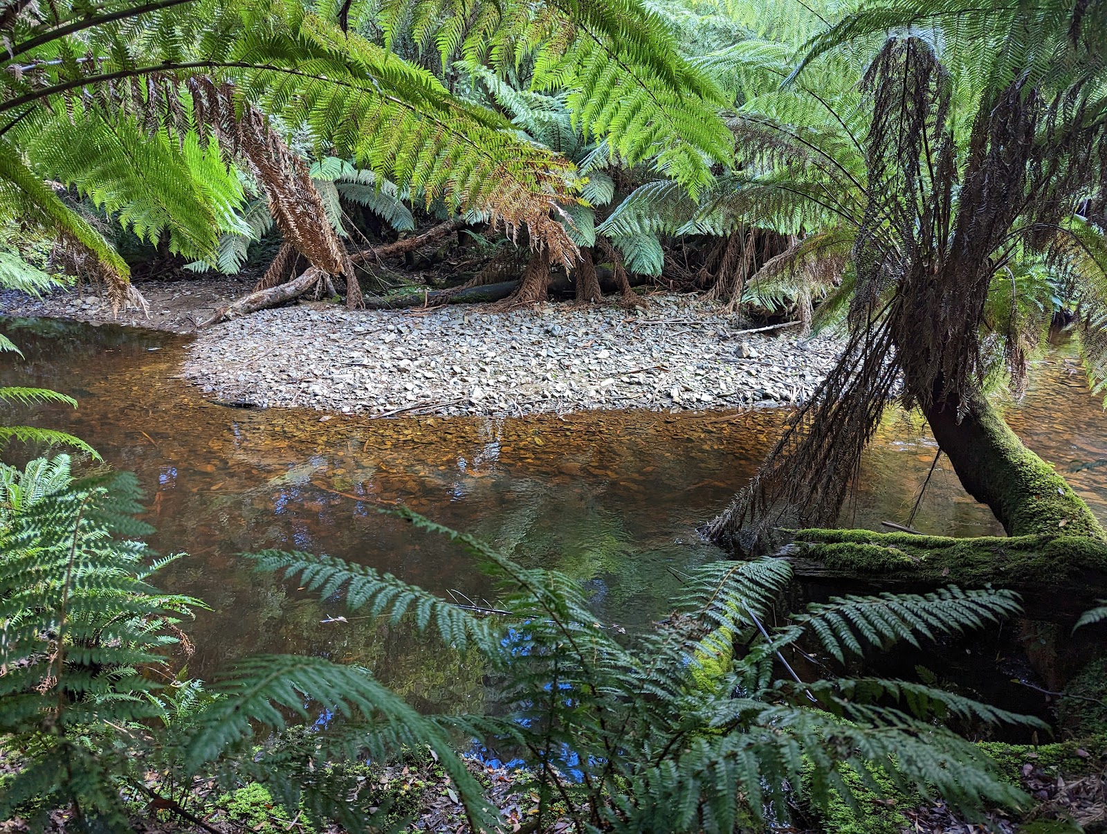 Evercreech Picnic Area 3