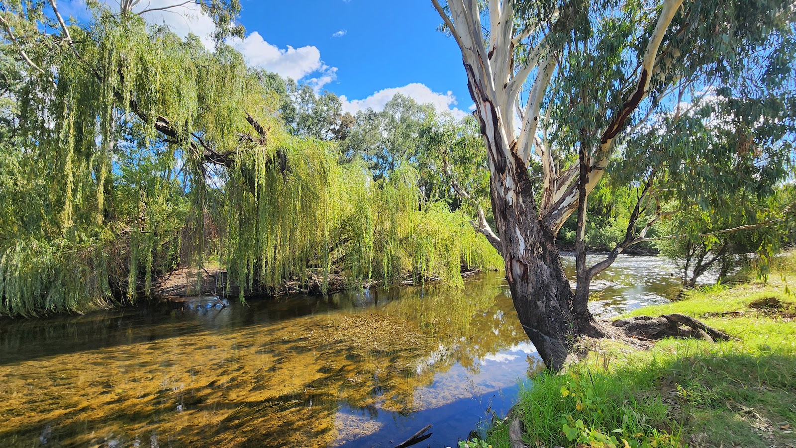 Bingara Riverside Camp 5