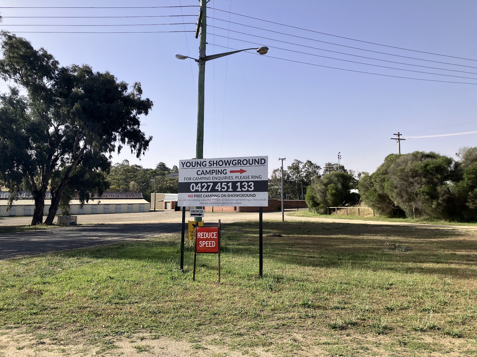 Young Showground 2