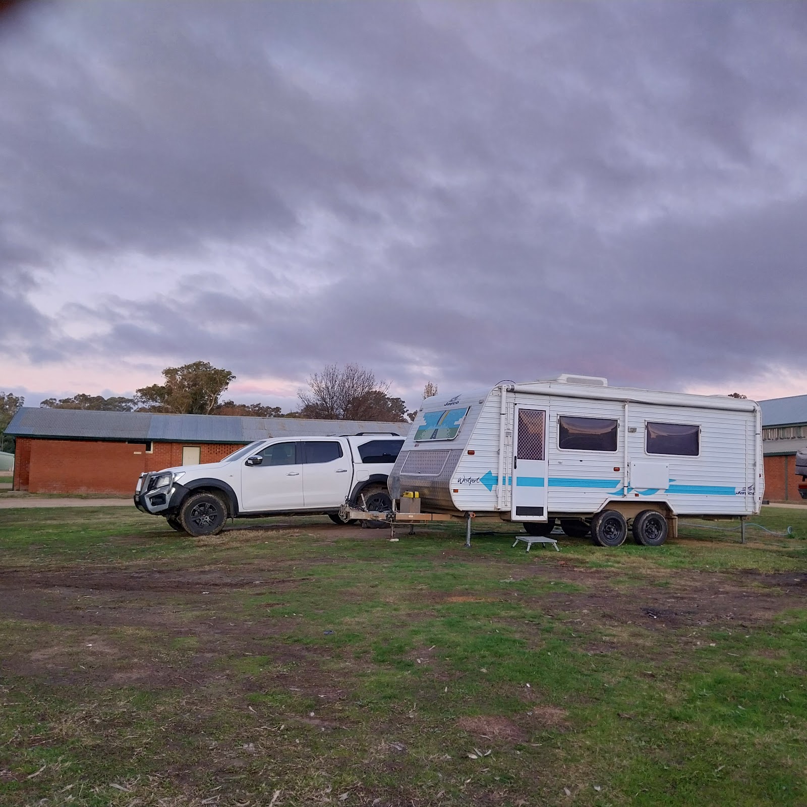 Young Showground 3