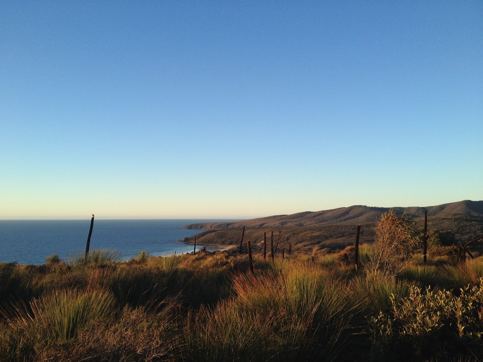 Narawntapu National Park, Parks and Wildlife Service 2