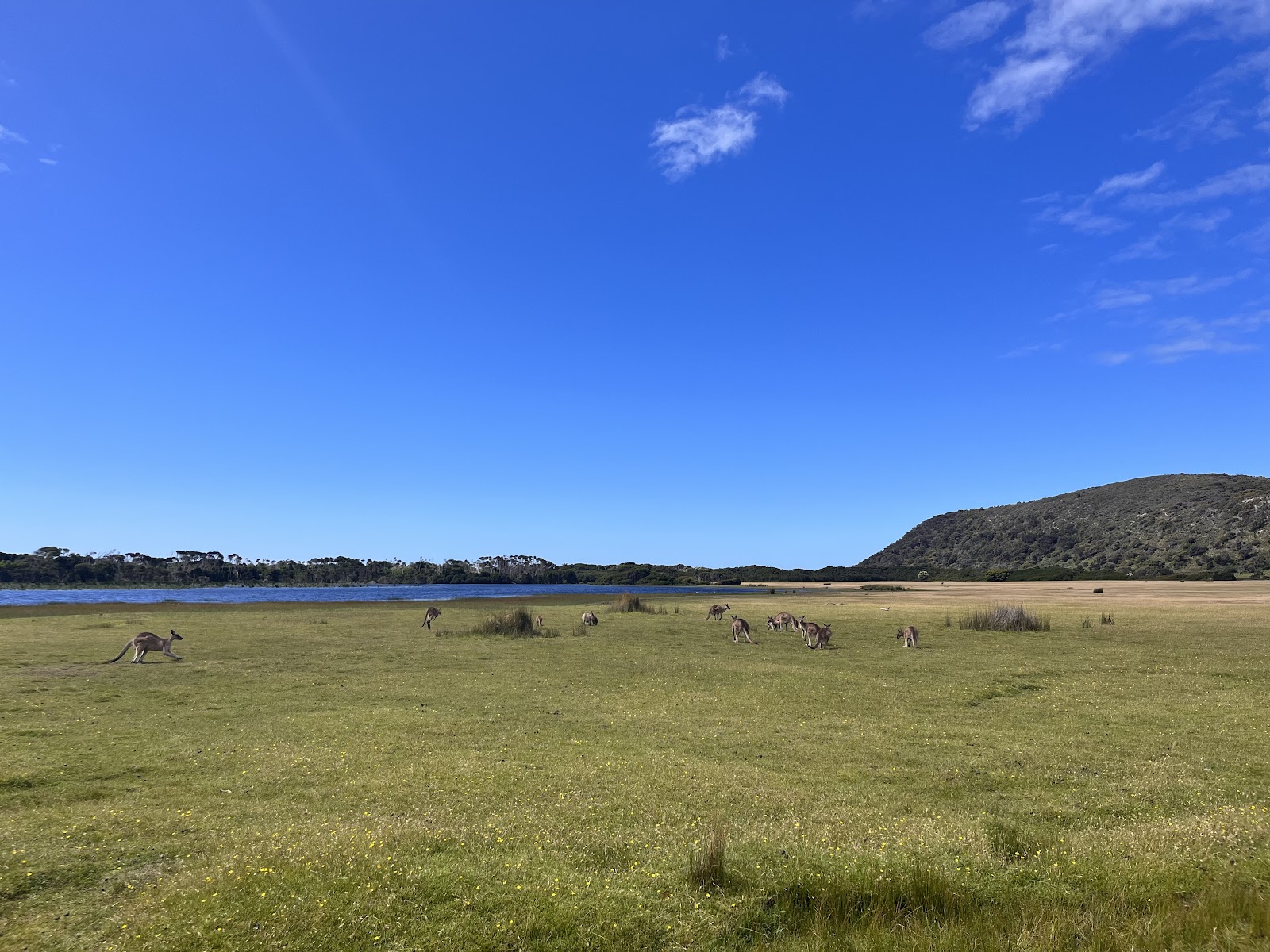 Narawntapu National Park, Parks and Wildlife Service 5