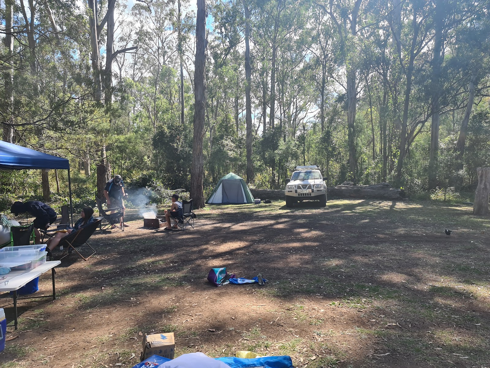 Poplar Flat camping area Main Range NP 2