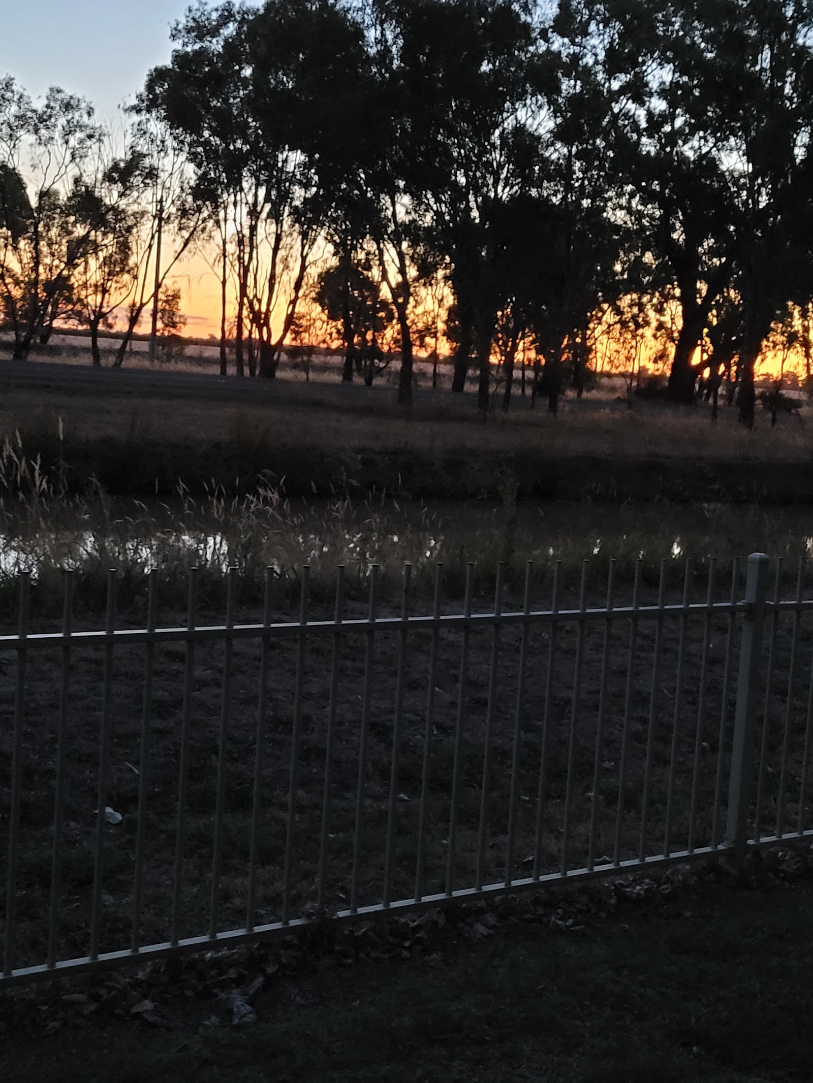 Cobram Willows Caravan Park 5