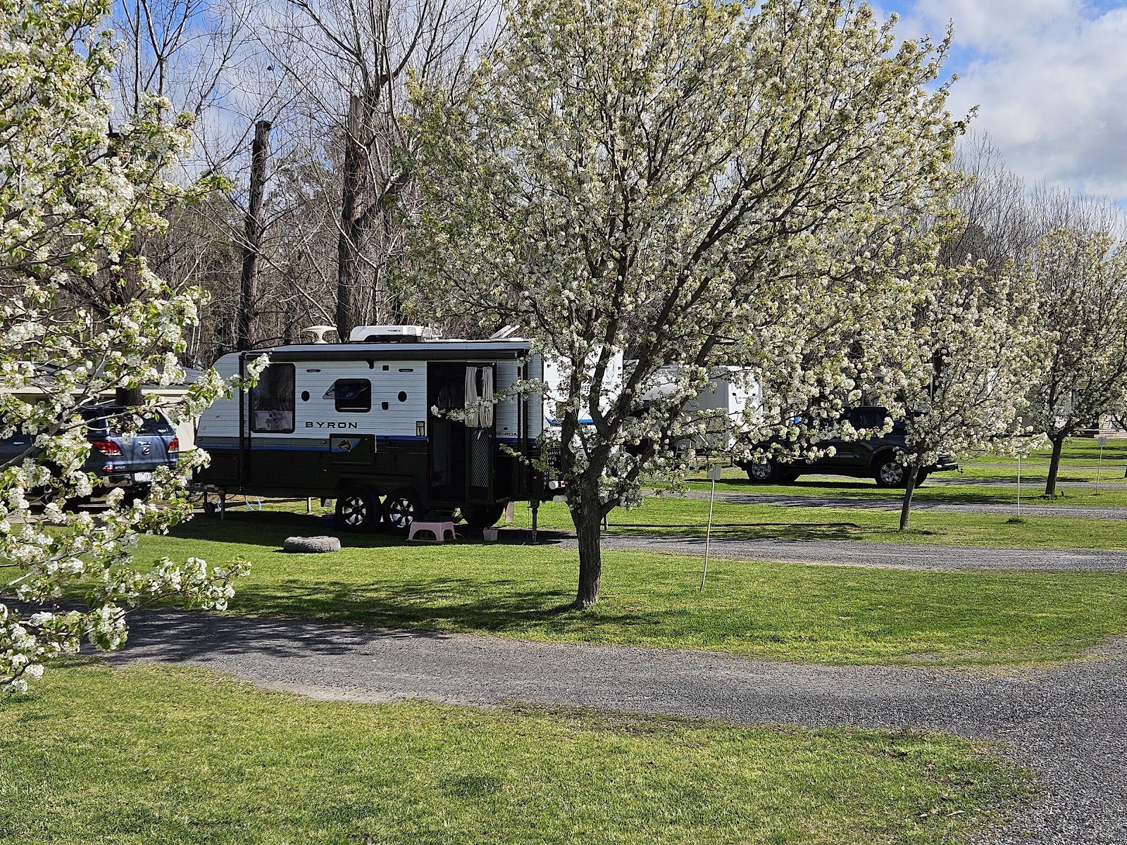 Cobram Willows Caravan Park 4