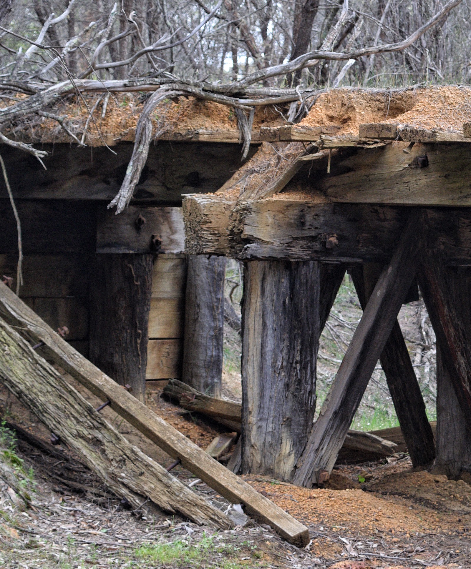 Congelin Campground 2