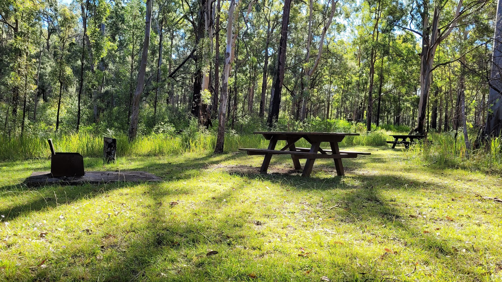 Spicers Gap Campground 2