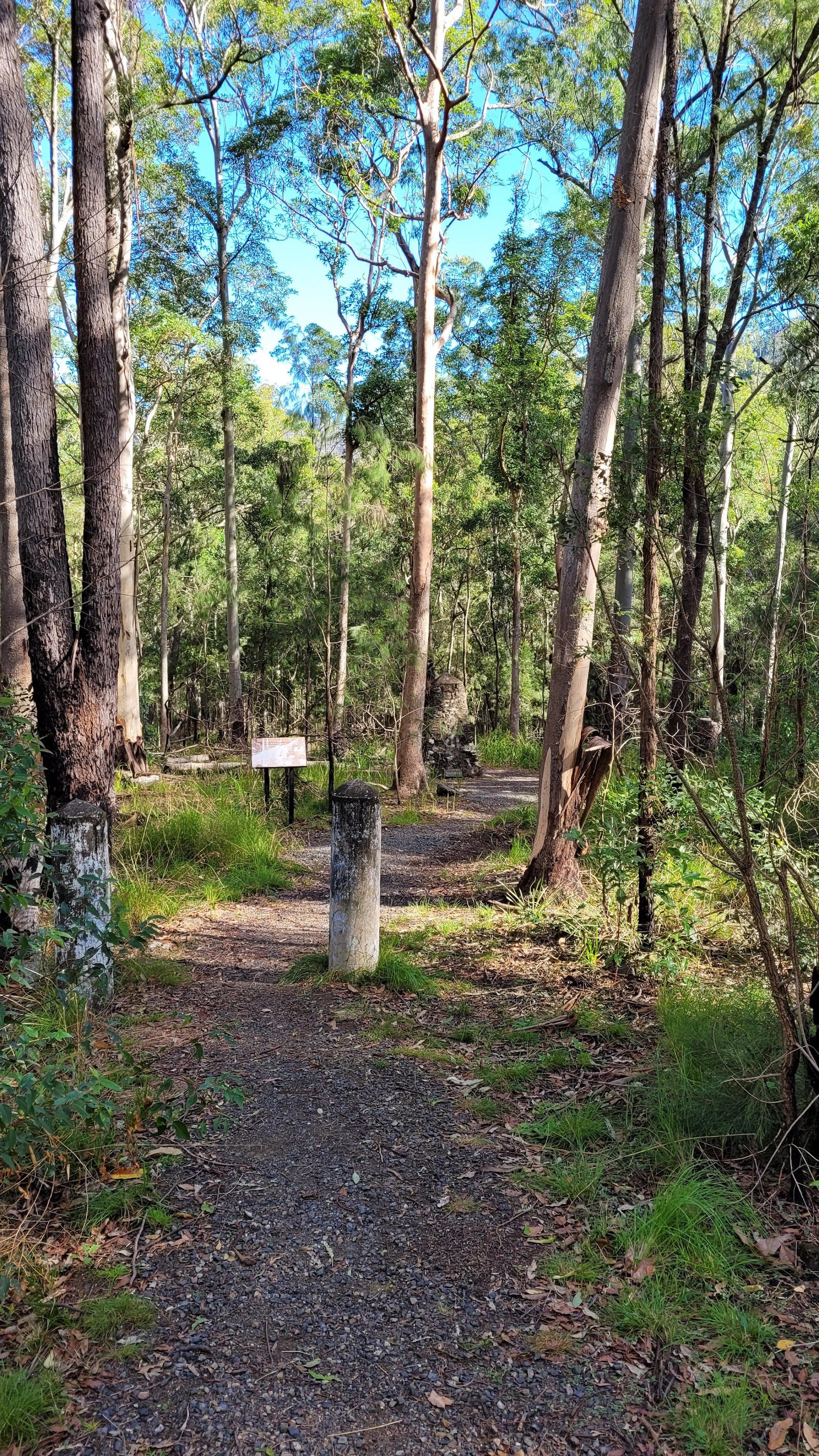 Spicers Gap Campground 3