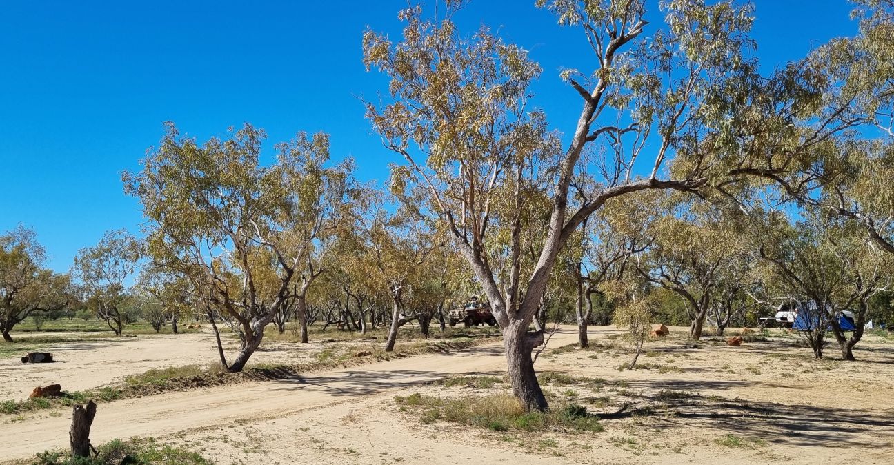 Little Boomerang Waterhole Camping Area 2