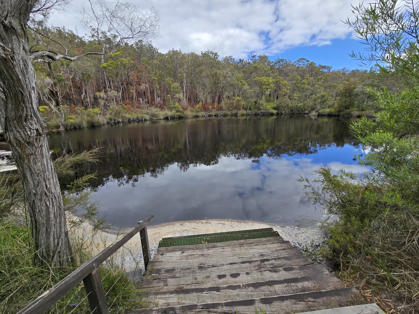 Fernhook Falls Campground 2