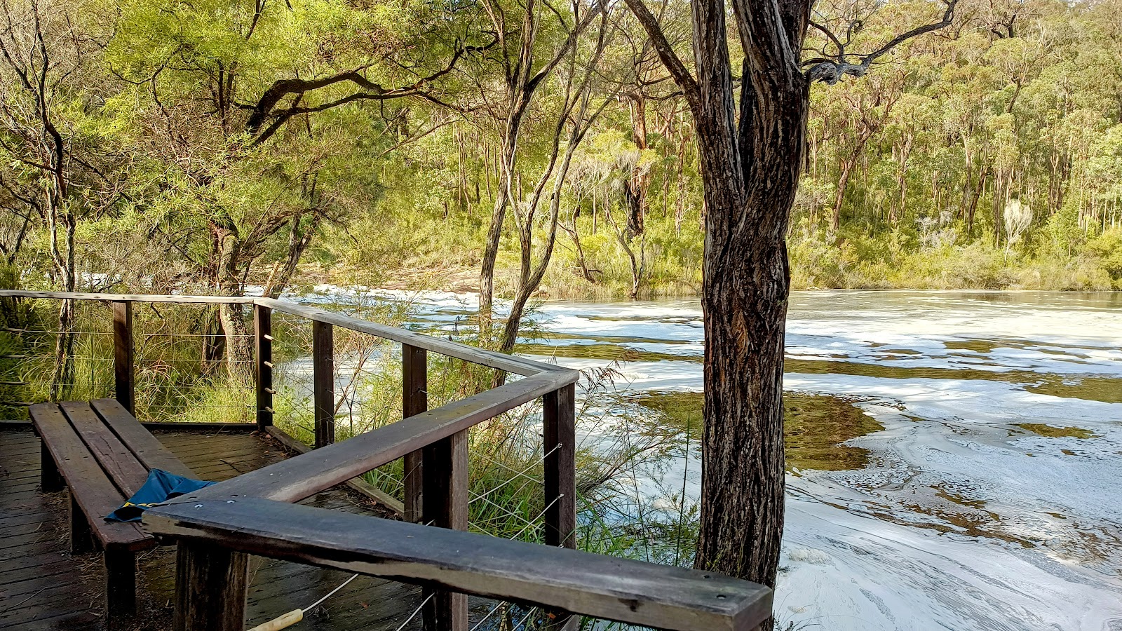 Fernhook Falls Campground 3